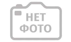 Квиз Эйнштейн Party СибКвиз Благотворительный